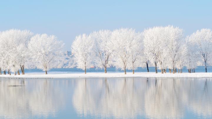 Talvinen maisema lumisista puista ja järvestä.