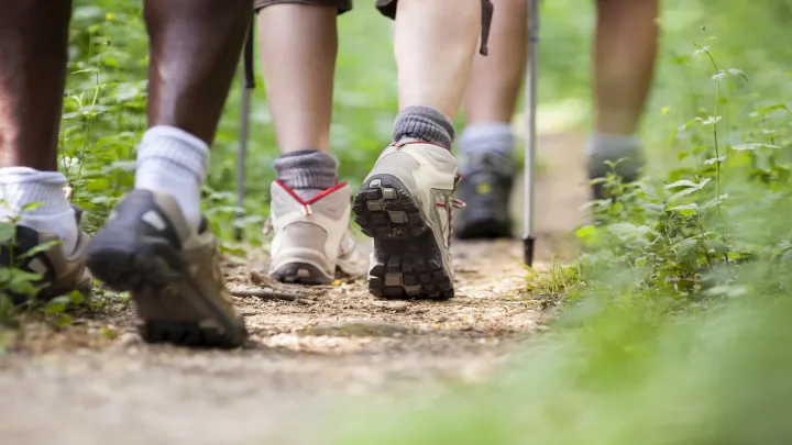 People jogging in a path in woods