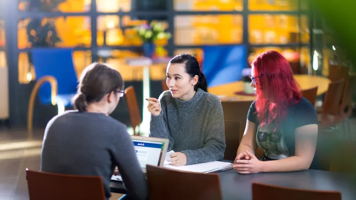 Group of students doing assignment