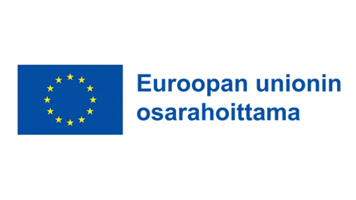 Euroopan unionin lippu Euroopan unionin osarahoittama